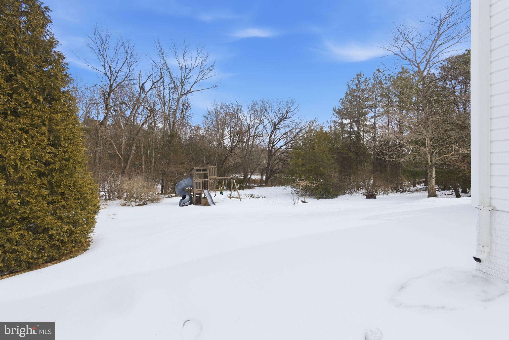 13119 Bigleaf Maple Court Gainesville, VA 20155 - Photo 33 of 36 a view of a yard with a tree