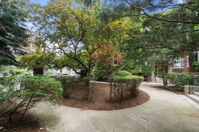 a view of a garden with plants