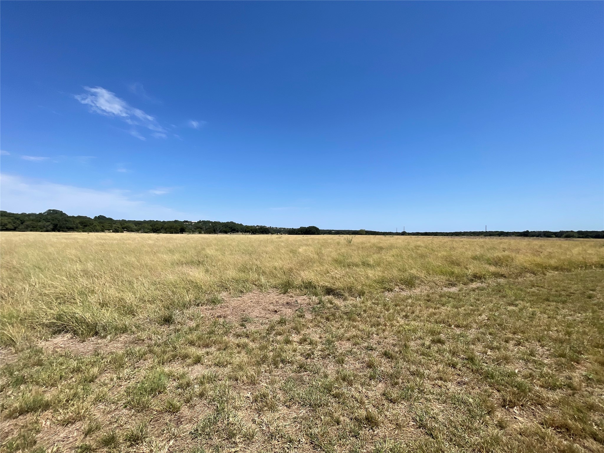 Lot 35 Cattle Trail Kempner, TX 76539 - Photo 6 of 20 A vast grassy field stretches toward a distant tree line under a clear blue sky.