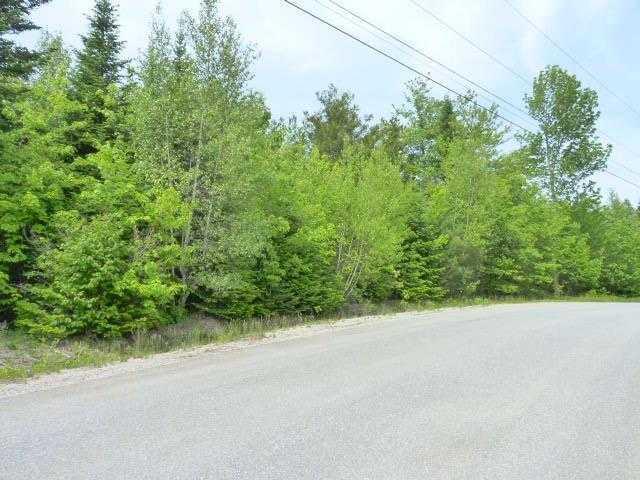 34-9 Tamarac Road Ellsworth, ME 04605 - Photo 5 of 9 Land.