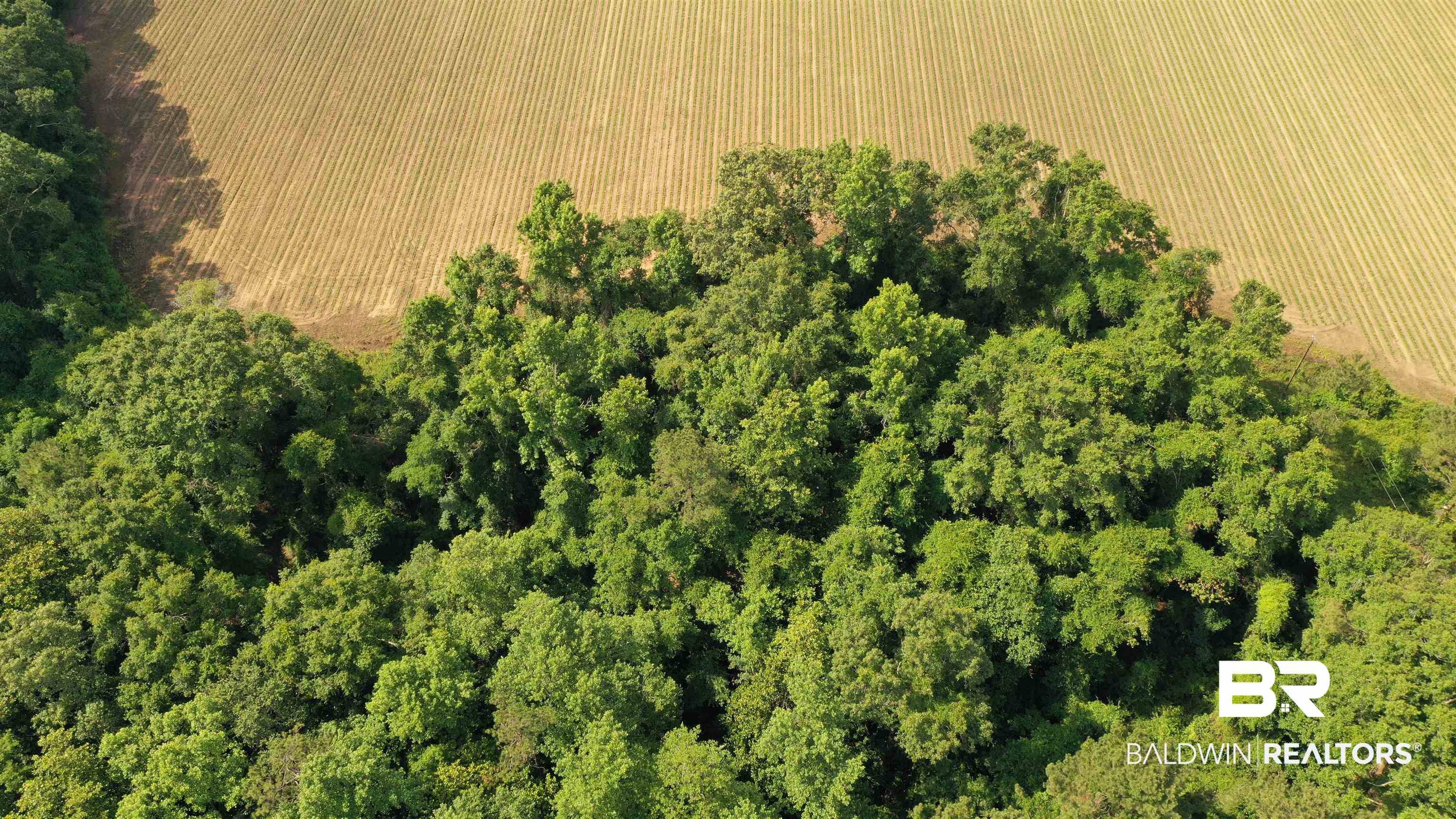 1 Travis Road Brewton, AL 36426 - Photo 13 of 28