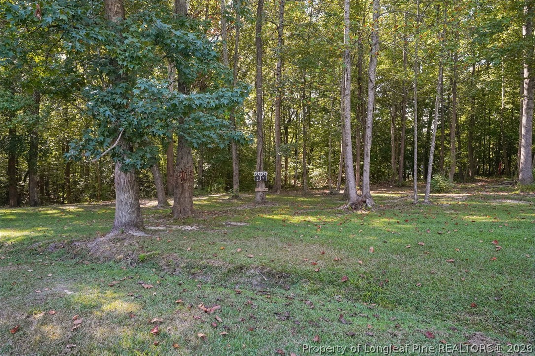 3518 Cemetery Road Sanford, NC 27332 - Photo 31 of 45 Gallery Image 31