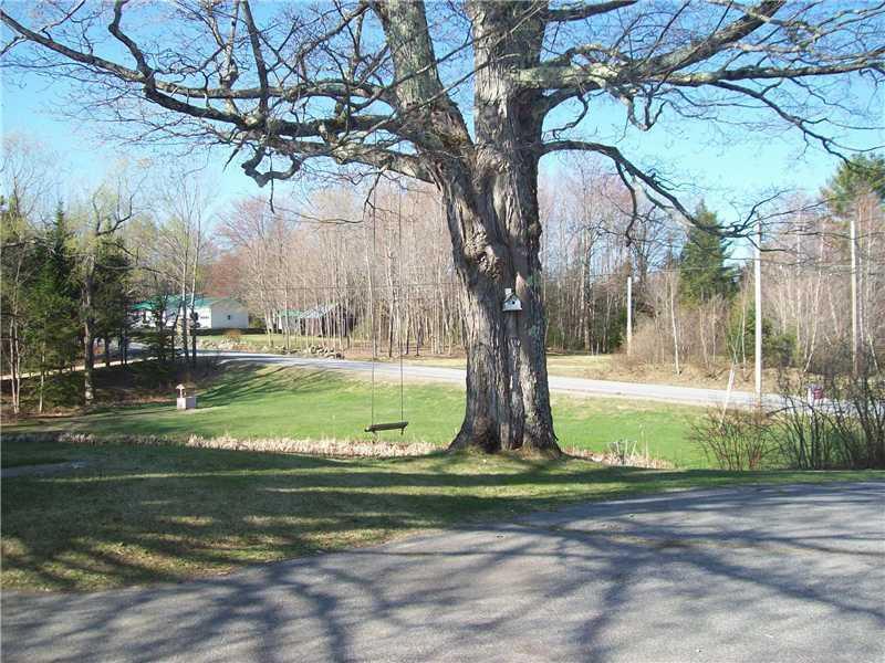 689 Franklin Road Jay, ME 04239 - Photo 26 of 35 Yard/Garden. Large maple trees