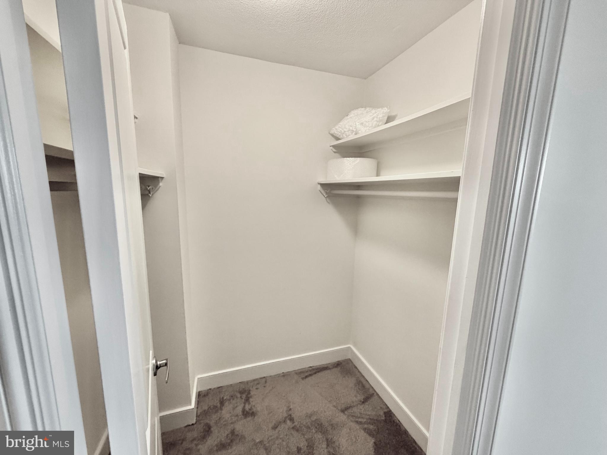 1220 Blair Mill Road, Unit 905 Silver Spring, MD 20910 - Photo 16 of 30 2nd Bedroom has walk-in closet too!