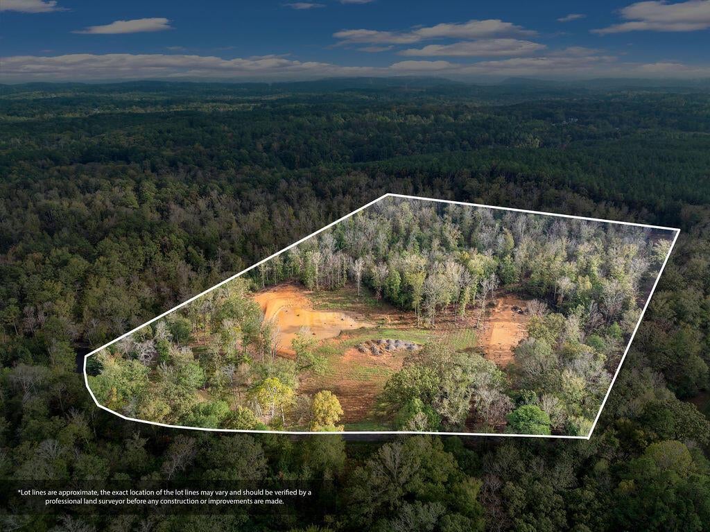 954 Evans Road Jasper, AL 35501 - Photo 7 of 19 DJI_20251021145008_0096_D-Edit