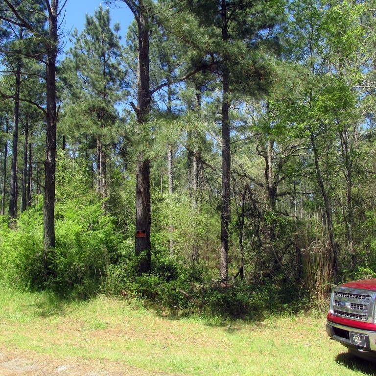 0 Henry Thomas Road Belton, SC 29627 - Photo 8 of 18