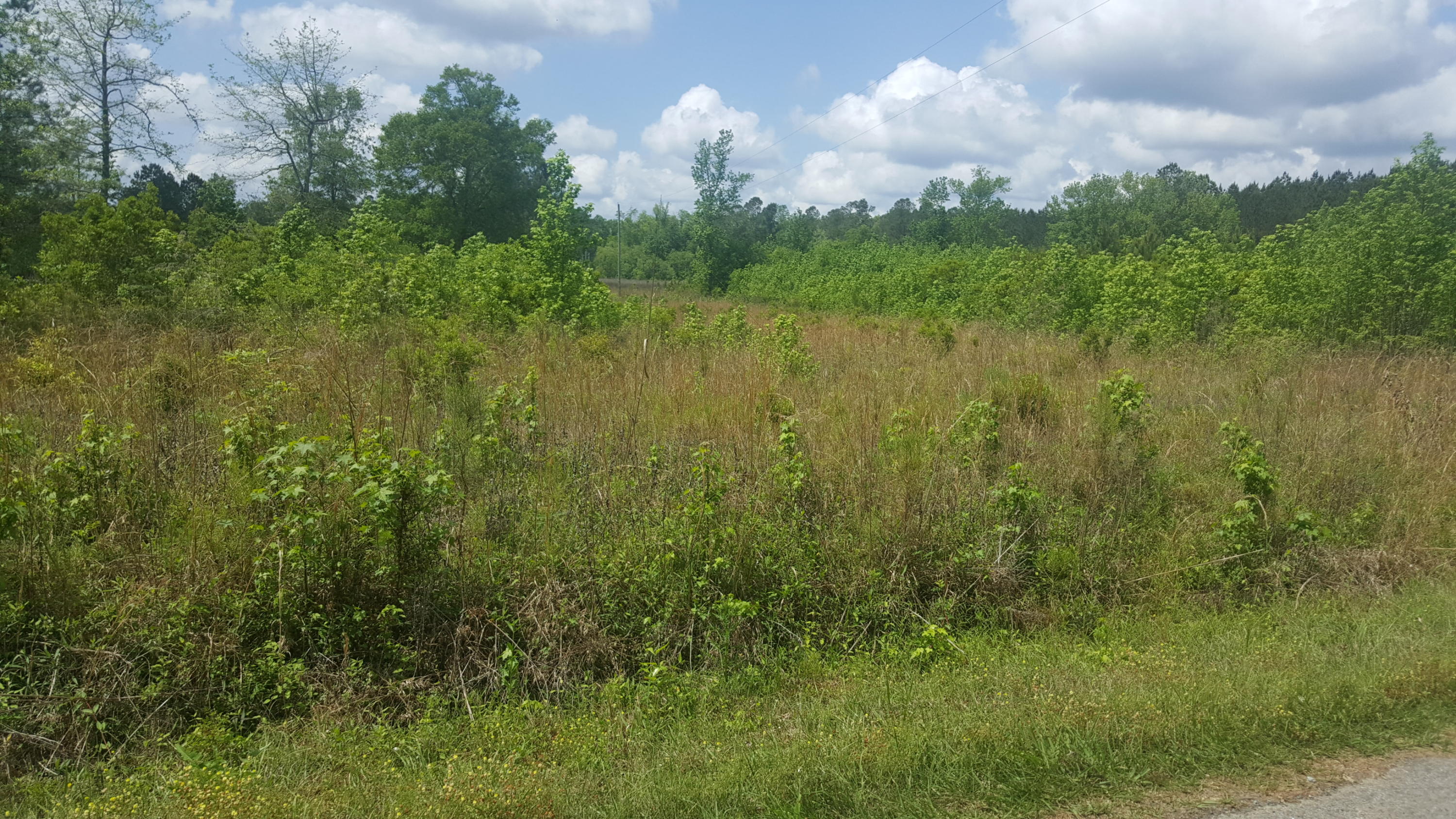 221 County Rd S-18-494 Ridgeville, SC 29472 - Photo 1 of 7 221 Tuggle