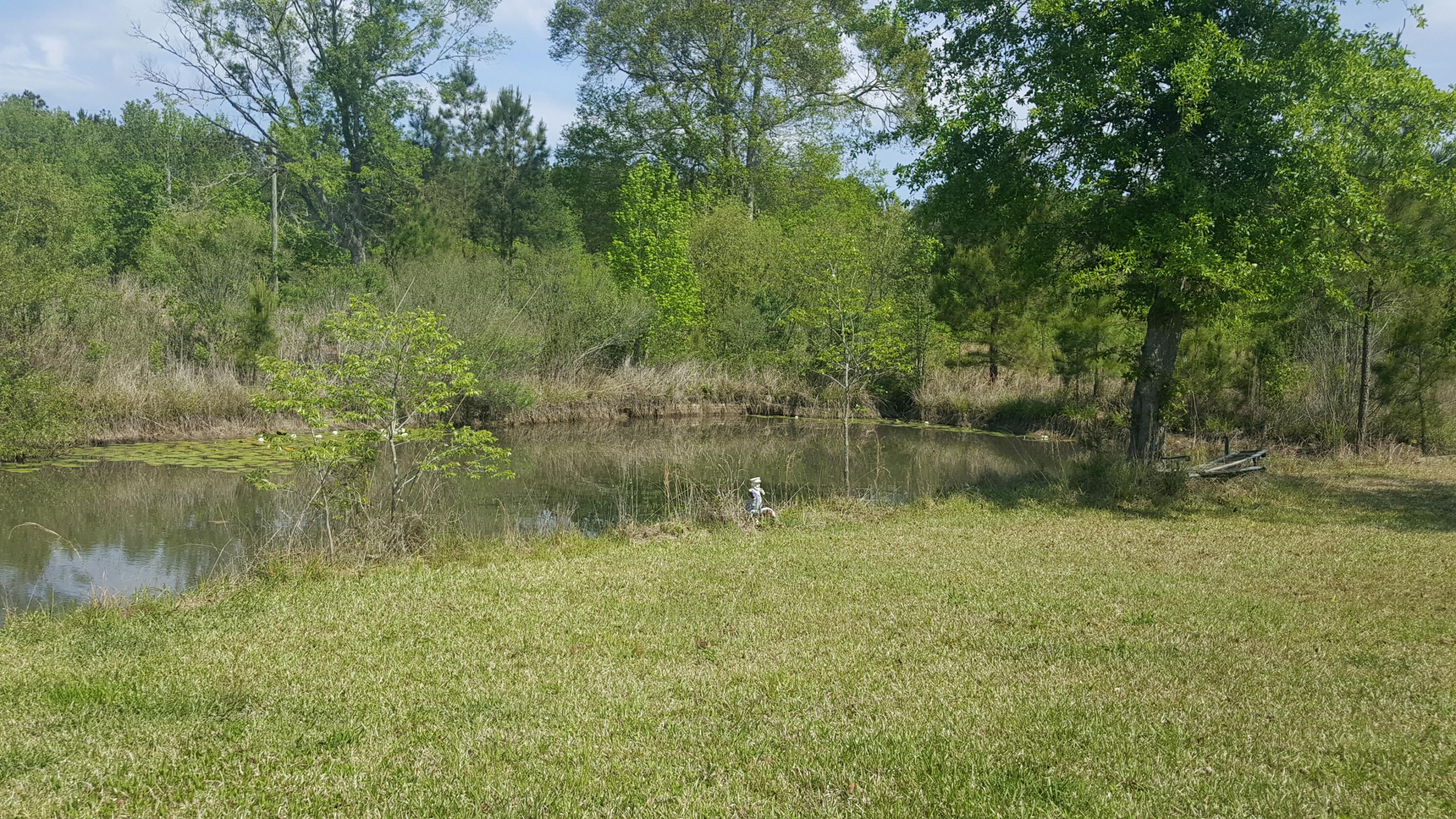 221 County Rd S-18-494 Ridgeville, SC 29472 - Photo 4 of 7 Pond view