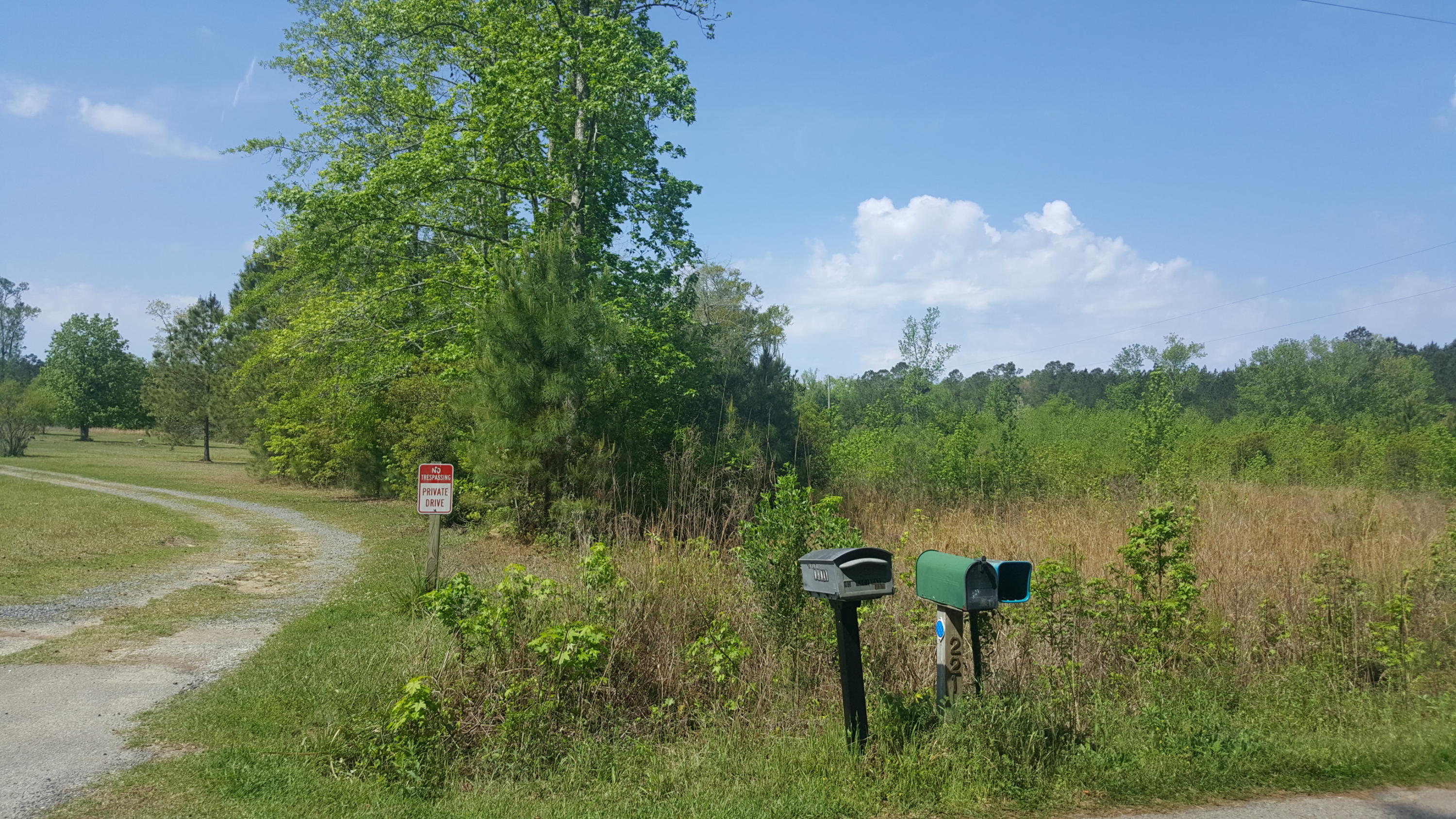 221 County Rd S-18-494 Ridgeville, SC 29472 - Photo 5 of 7 From the road