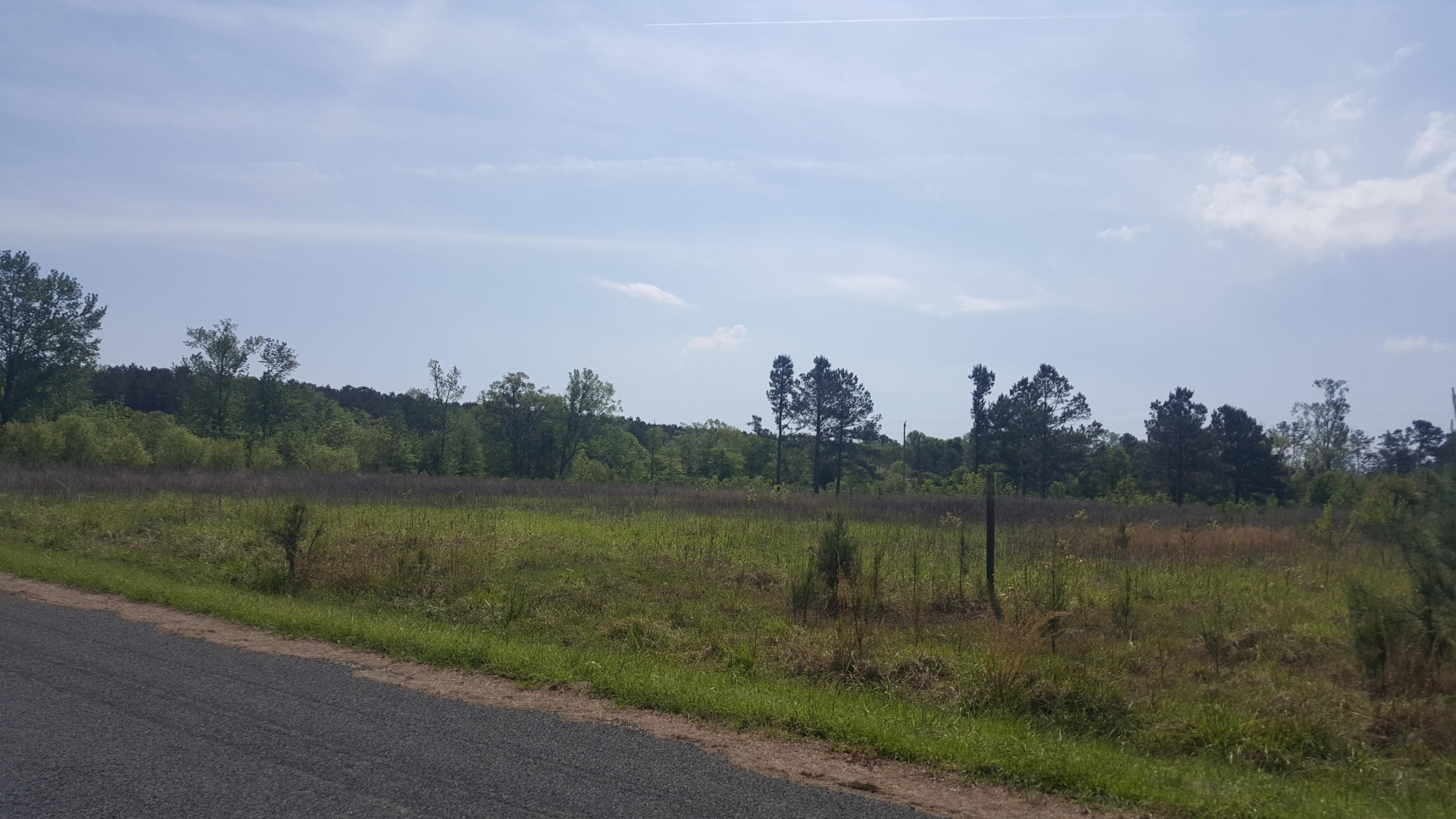 221 County Rd S-18-494 Ridgeville, SC 29472 - Photo 6 of 7 Road view