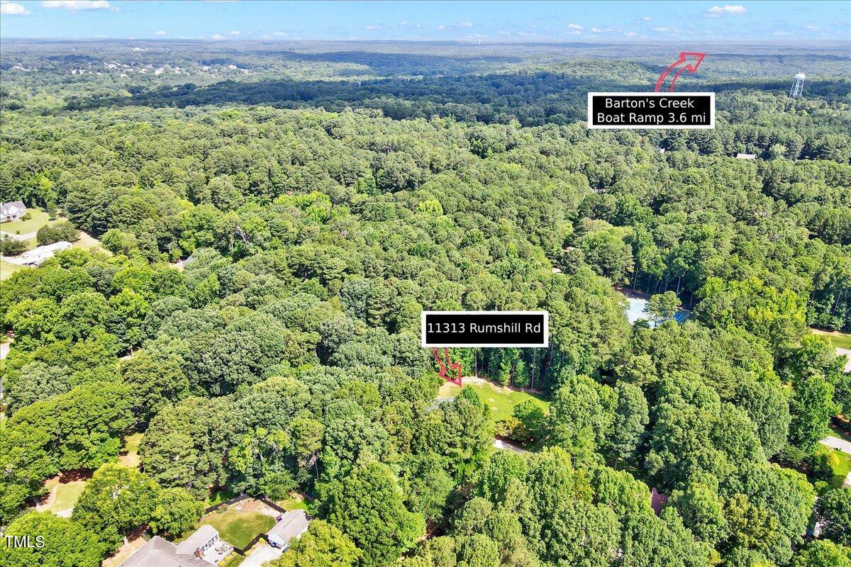 11313 Rumshill Road Raleigh, NC 27614 - Photo 54 of 55 a view of a wall with plants and trees