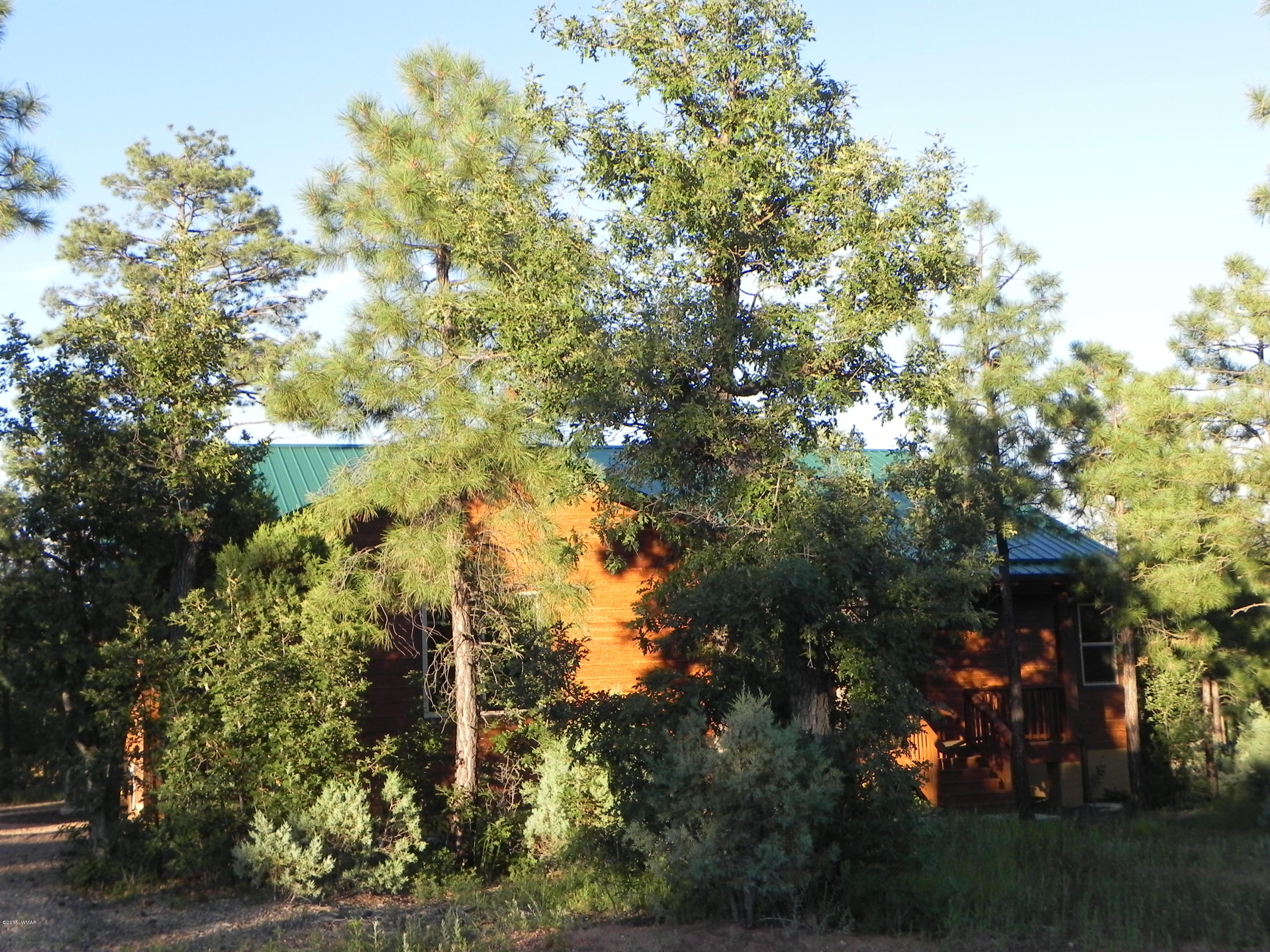 5975 Luminary Way Lakeside, AZ 85929 - Photo 4 of 44 a view of a tree