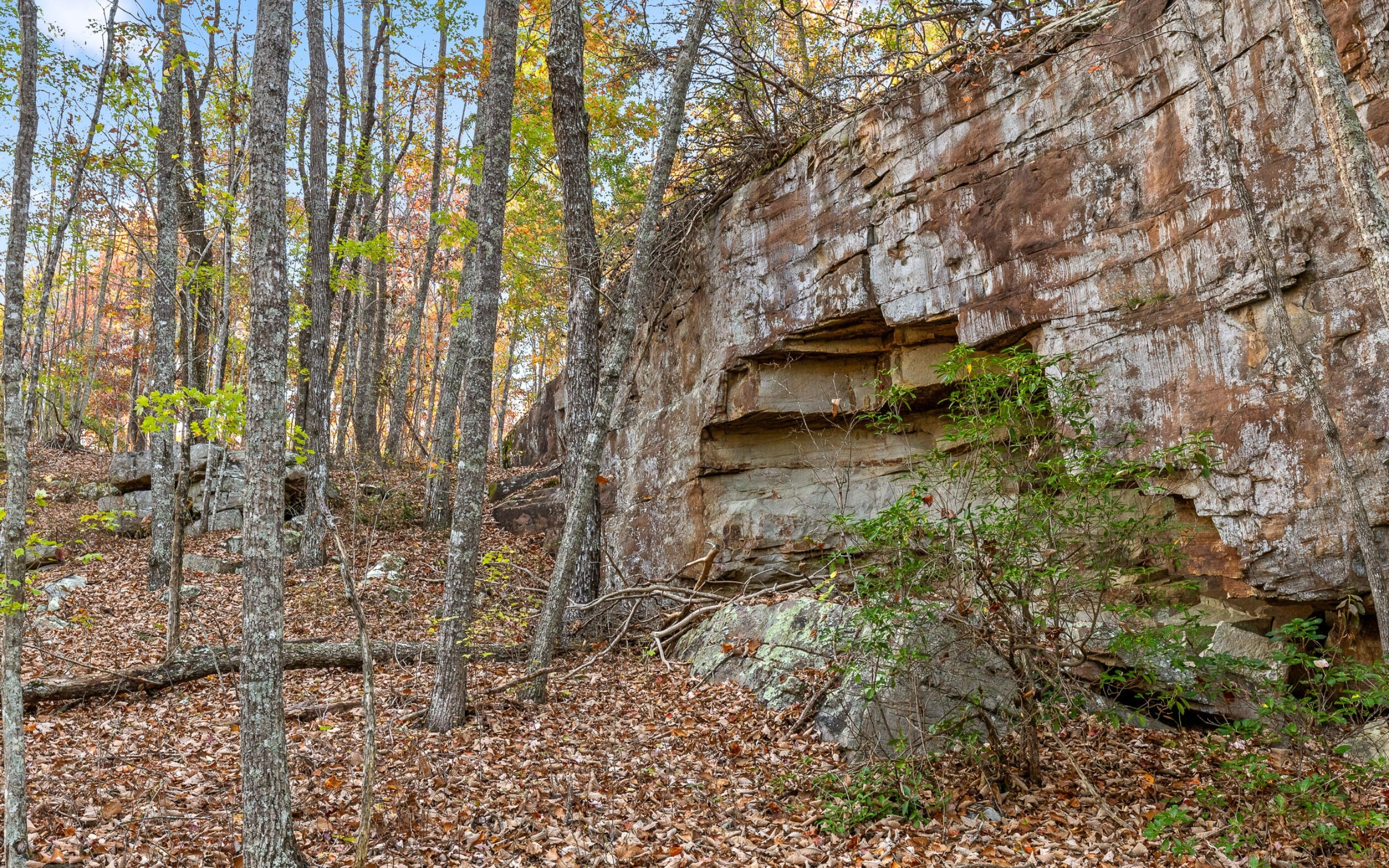 3868 Hobbstown Road Dunlap, TN 37327 - Photo 53 of 59 Scenic Outcroppings