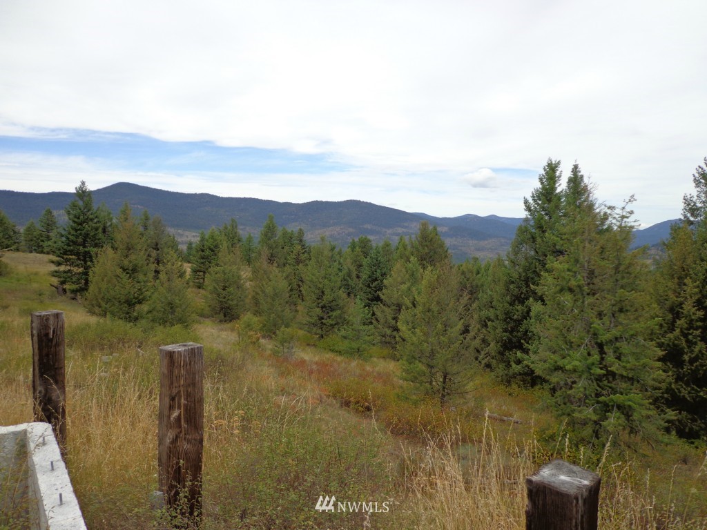 19 Union Ridge Road Republic, WA 99166 - Photo 2 of 9