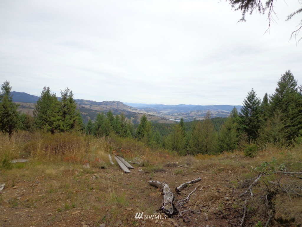 19 Union Ridge Road Republic, WA 99166 - Photo 3 of 9