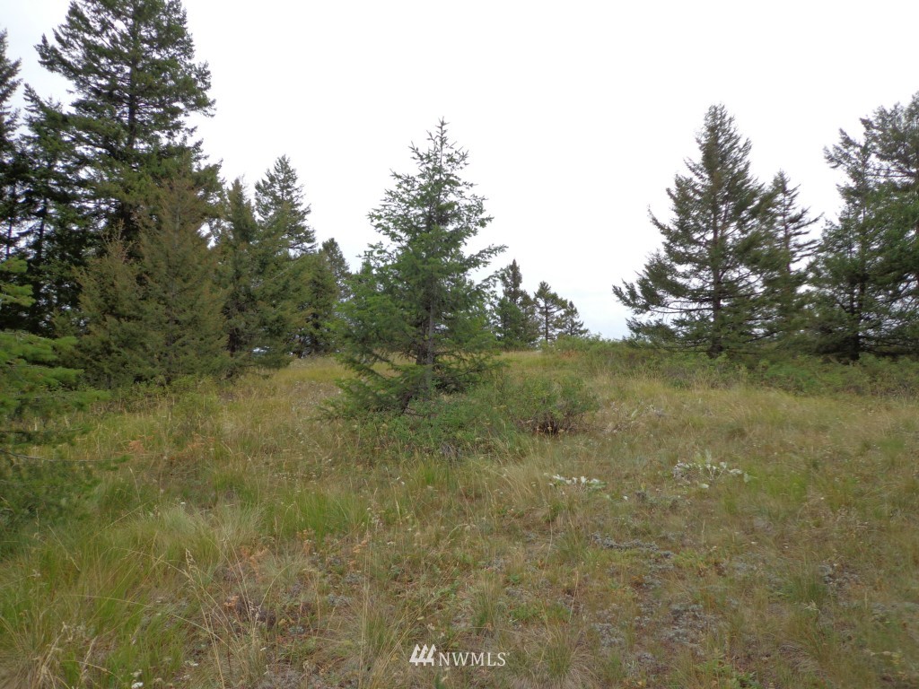 19 Union Ridge Road Republic, WA 99166 - Photo 4 of 9