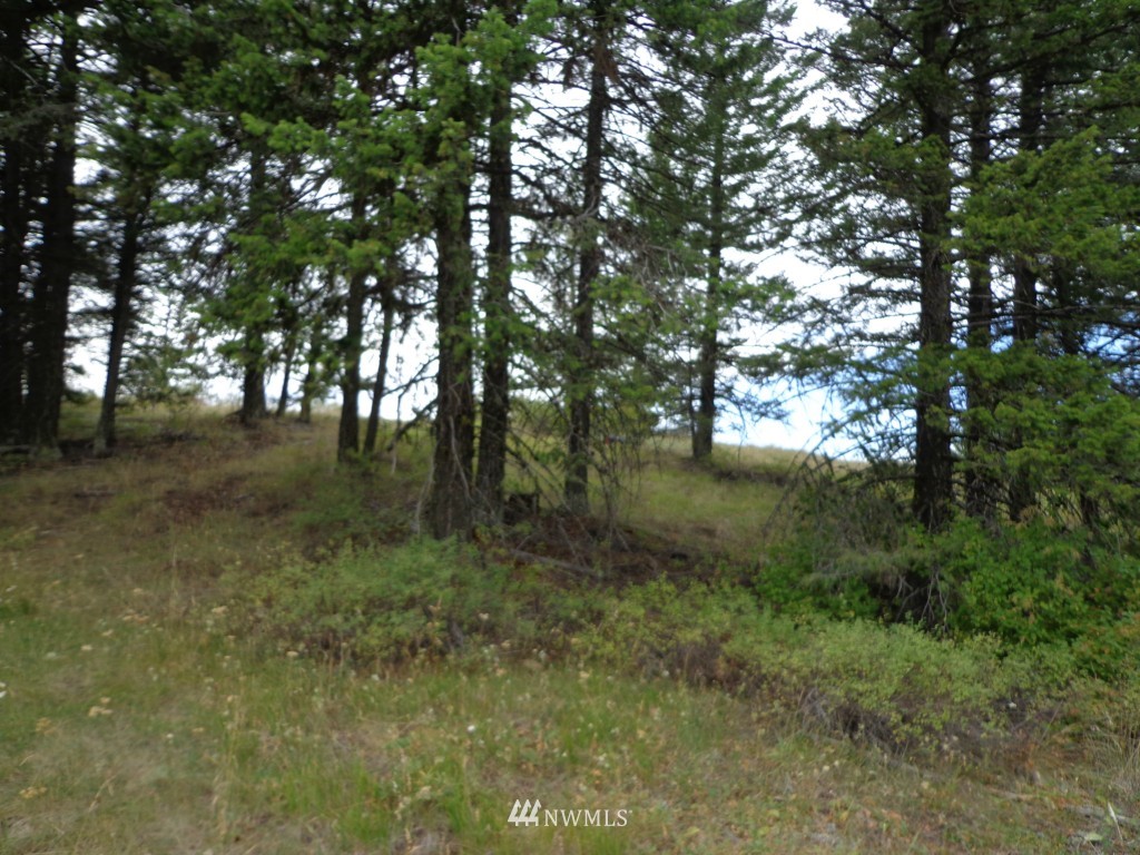 19 Union Ridge Road Republic, WA 99166 - Photo 5 of 9