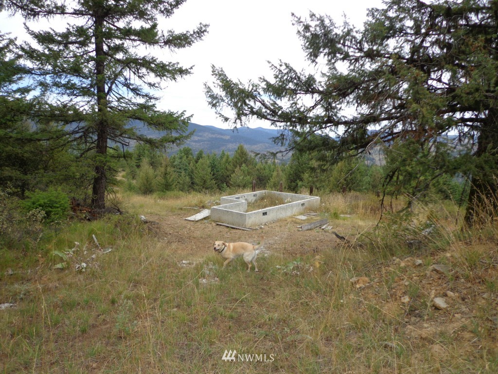 19 Union Ridge Road Republic, WA 99166 - Photo 6 of 9