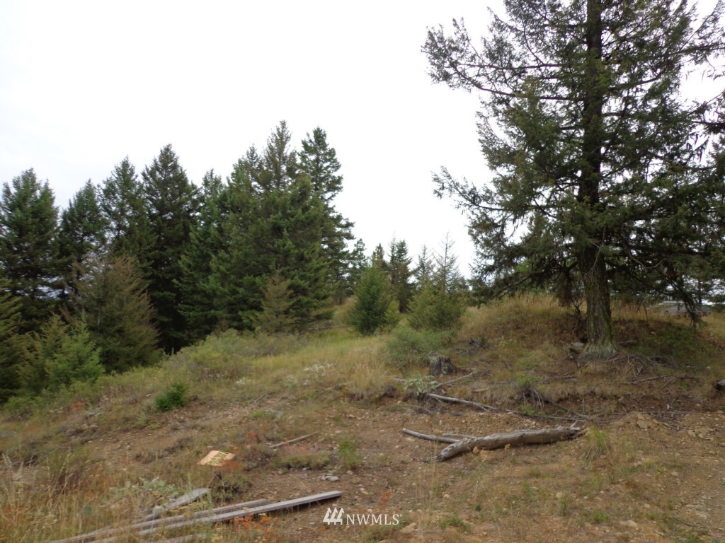 19 Union Ridge Road Republic, WA 99166 - Photo 8 of 9
