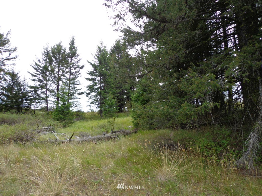 19 Union Ridge Road Republic, WA 99166 - Photo 9 of 9