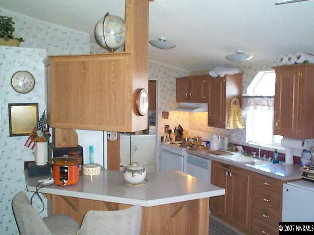 1445 Albite Road Wellington, NV 89444 - Photo 2 of 7 Photo 2