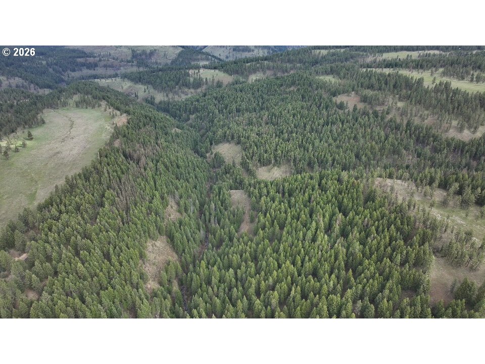 74759 Good Road Elgin, OR 97827 - Photo 4 of 7 a open area with green field and trees