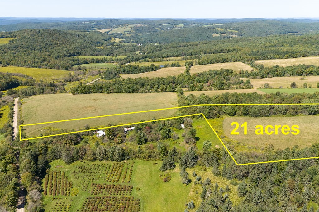 Lot 11 Warren Road Treadwell, NY 13846 - Photo 3 of 10