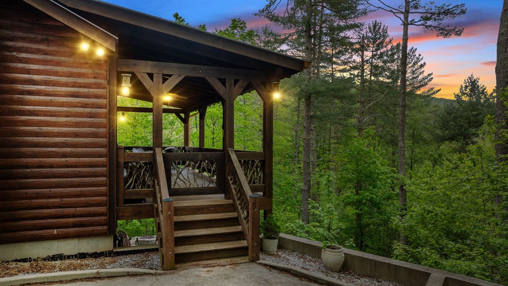 205 Mountain View Road Cherry Log, GA 30522 - Photo 2 of 28 a view of outdoor space and deck