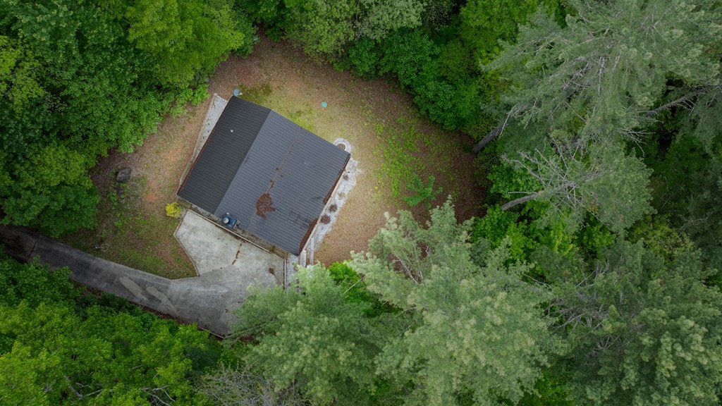 205 Mountain View Road Cherry Log, GA 30522 - Photo 25 of 28 an aerial view of a house with a yard and trees all around