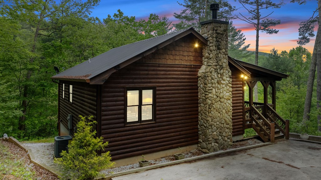 205 Mountain View Road Cherry Log, GA 30522 - Photo 4 of 28 a view of a house with a yard