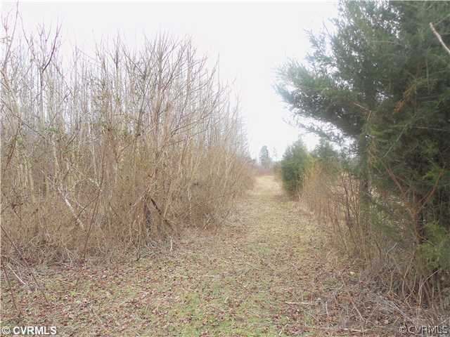 Gallery Image 6