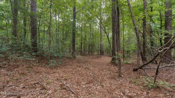 $449,900 | 1270 Highway 469, Florence, MS 39073