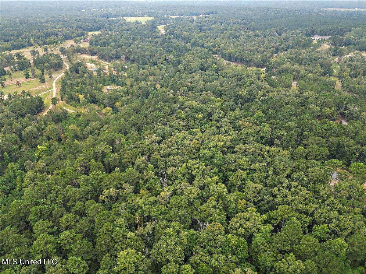 1270 Highway 469 Florence, MS 39073 - Photo 11 of 26 08-IMG_3150