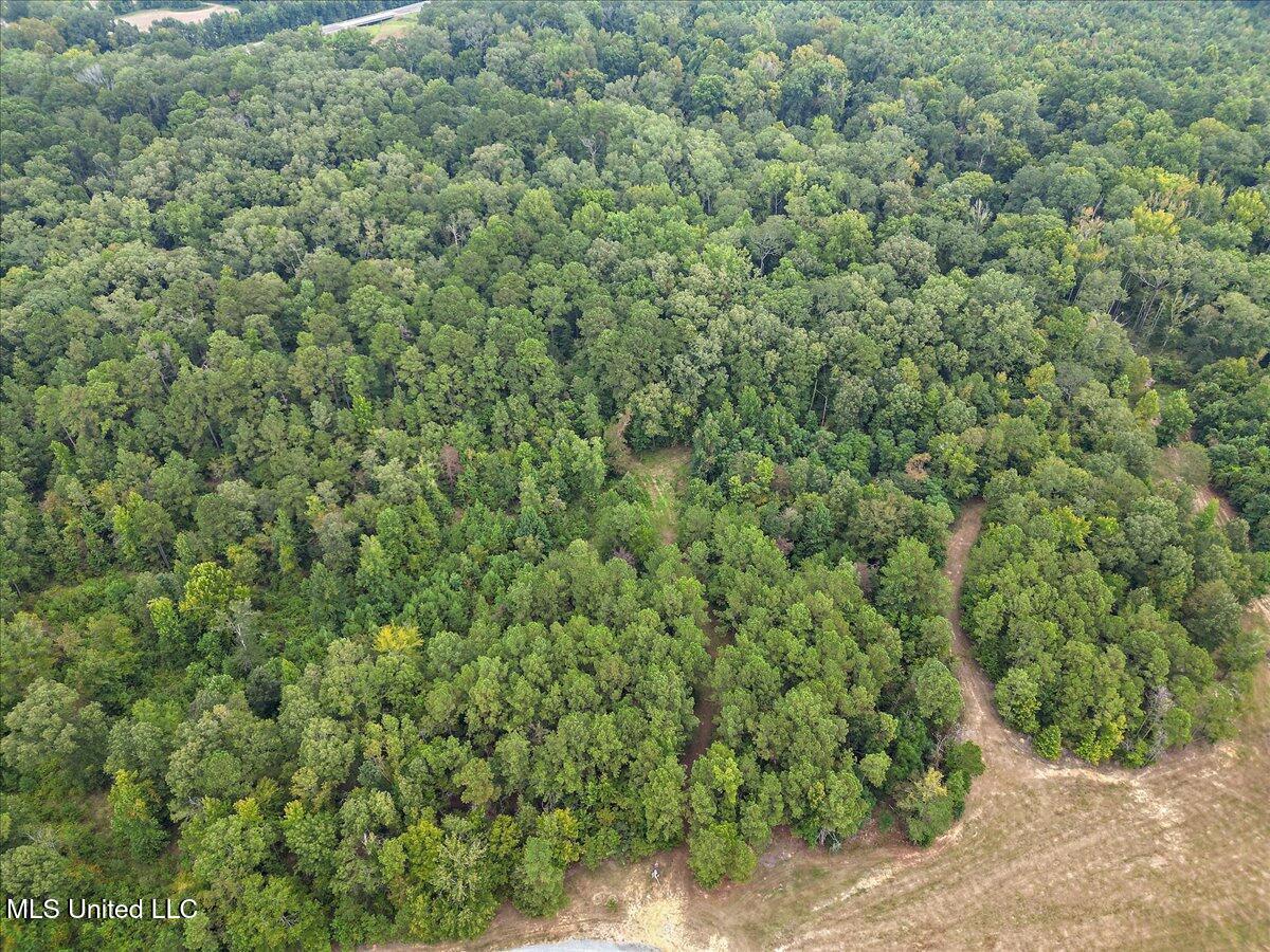 1270 Highway 469 Florence, MS 39073 - Photo 13 of 26 10-IMG_3151