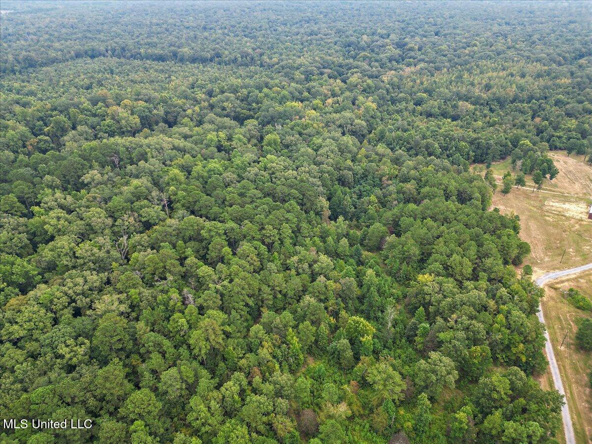 1270 Highway 469 Florence, MS 39073 - Photo 14 of 26 11-IMG_3159