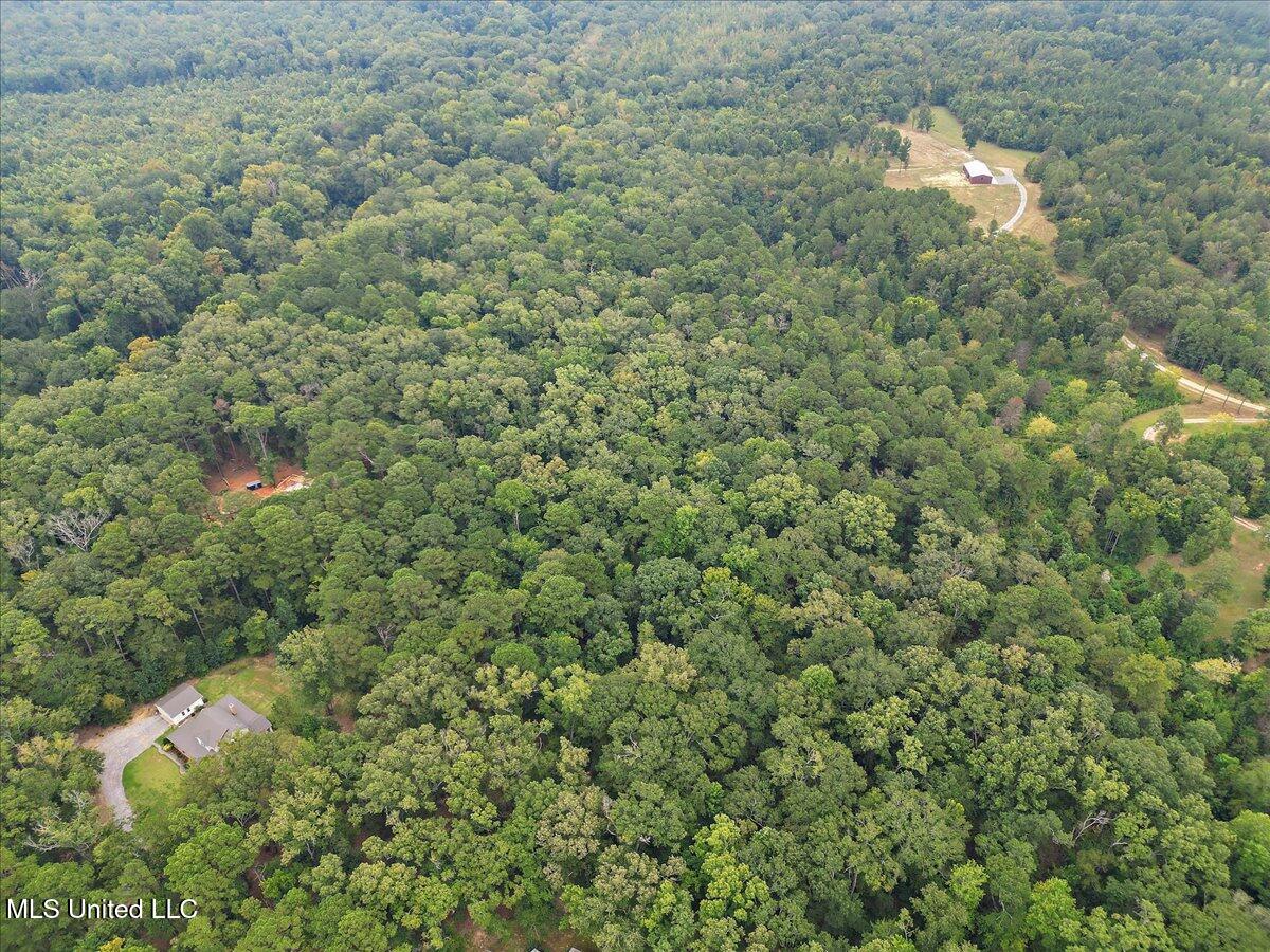 1270 Highway 469 Florence, MS 39073 - Photo 16 of 26 13-IMG_3153