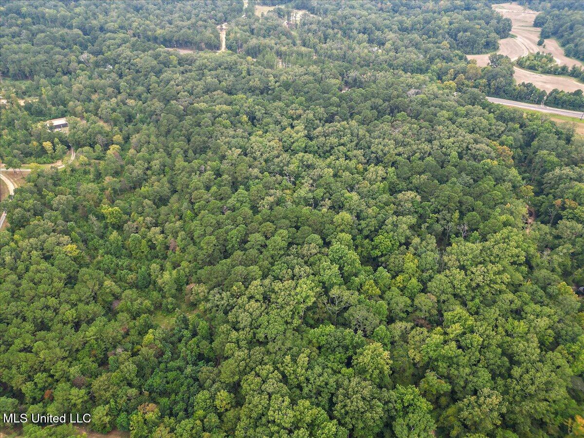 1270 Highway 469 Florence, MS 39073 - Photo 17 of 26 14-IMG_3161
