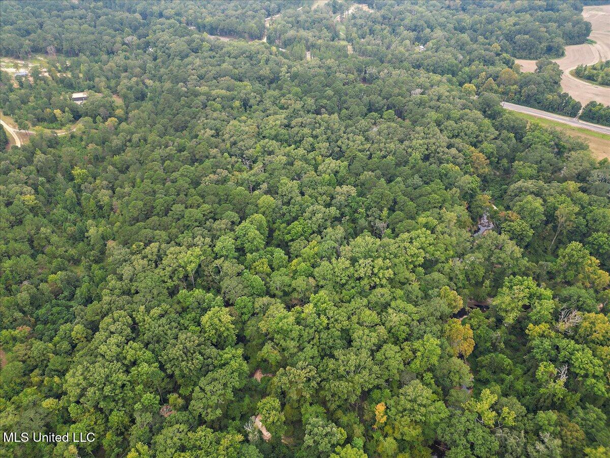 1270 Highway 469 Florence, MS 39073 - Photo 18 of 26 15-IMG_3154