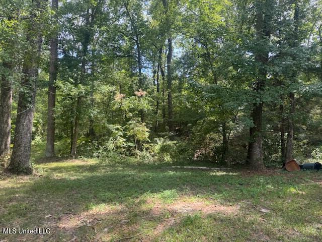 1270 Highway 469 Florence, MS 39073 - Photo 19 of 26 Photo 1