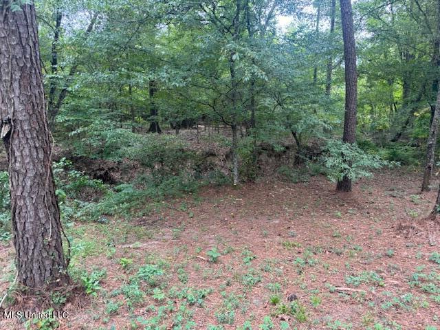 1270 Highway 469 Florence, MS 39073 - Photo 21 of 26 IMG_5880