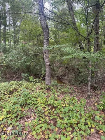 $449,900 | 1270 Highway 469, Florence, MS 39073