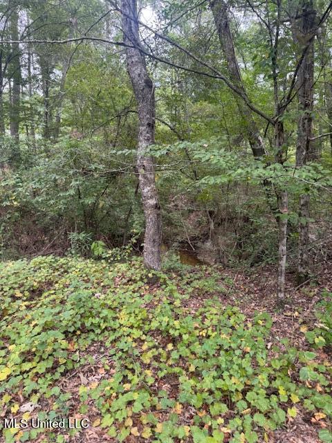1270 Highway 469 Florence, MS 39073 - Photo 22 of 26 IMG_5882