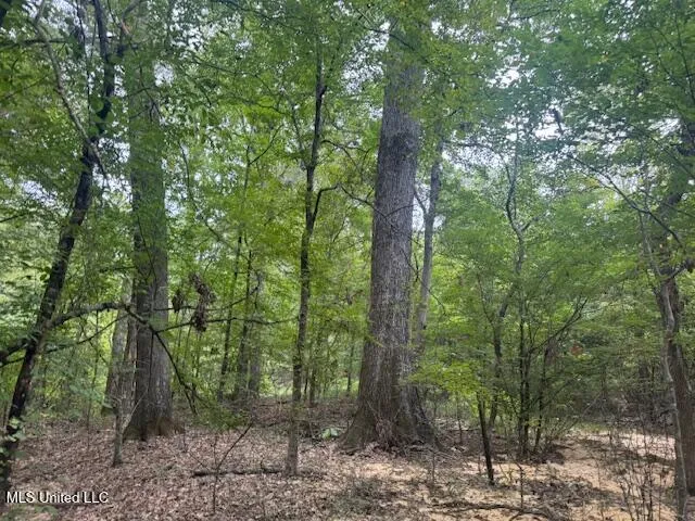 $449,900 | 1270 Highway 469, Florence, MS 39073