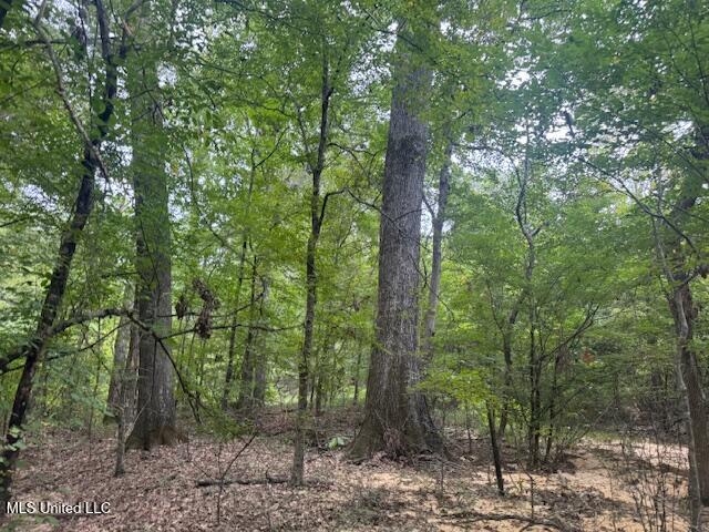 1270 Highway 469 Florence, MS 39073 - Photo 24 of 26 IMG_5885
