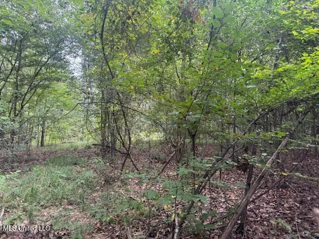 $449,900 | 1270 Highway 469, Florence, MS 39073