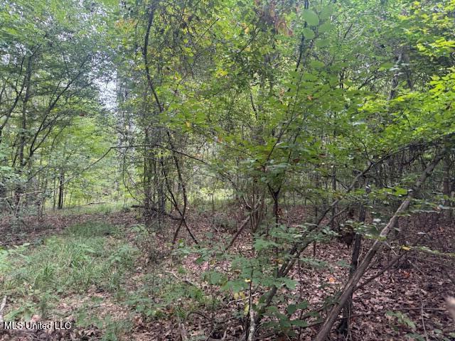 1270 Highway 469 Florence, MS 39073 - Photo 25 of 26 IMG_5886