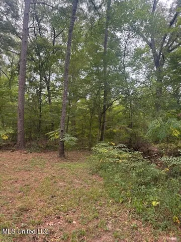 $449,900 | 1270 Highway 469, Florence, MS 39073