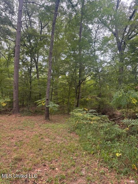 1270 Highway 469 Florence, MS 39073 - Photo 26 of 26 IMG_5887