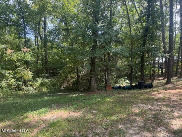 1270 Highway 469 Florence, MS 39073 - Photo 3 of 26 Phot 2