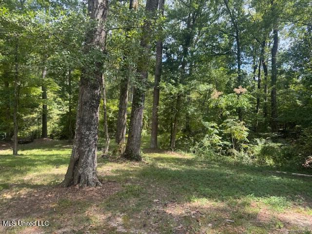 1270 Highway 469 Florence, MS 39073 - Photo 4 of 26 Photo 3